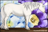 Horse Color:White Spotted Cremello Dun 