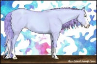 Horse Color:Watercolor Gold Champagne Dun Splash 