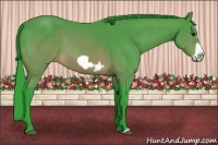 Horse Color:Watercolor Brown Frame 