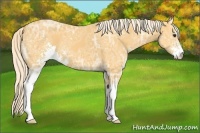 Horse Color:Palomino Ice Sabino 