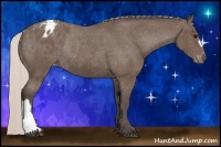 Horse Color:Silver Black Appaloosa Rabicano