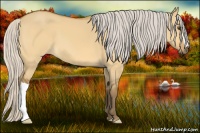 Horse Color:Silver Buckskin Dun 