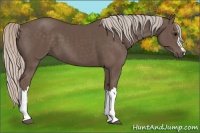 Horse Color:Silver Black 
