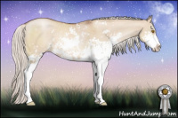 Horse Color:Silver Grullo Pearl Sabino 