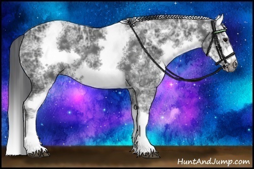 Horse Color: White Spotted Black Ice Splash Frame 