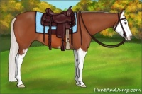 Horse Color:Silver Bay Sabino Splash 