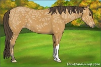 Horse Color:Buckskin Ice 