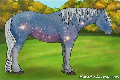 Horse Color: ERROR: UNKNOWN ANOMALY