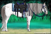 Horse Color:Bay Roan Splash Snowcap 