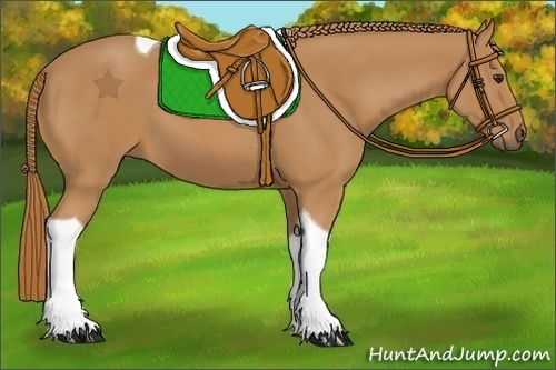 Horse Color:Unknown