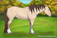 Horse Color:Amber Champagne Dun Sabino 