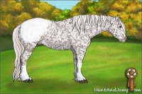Horse Color:Silver Brown Splash Appaloosa 