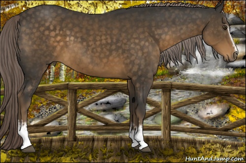Horse Color: White Spotted Chocolate Palomino Sabino 