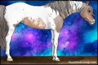 Horse Color:Bay Tobiano Snowcap 