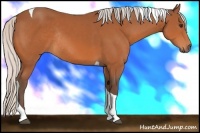 Horse Color:Silver Bay Tobiano Rabicano 