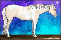 Horse Color:Silver Amber Champagne Dun Tobiano 