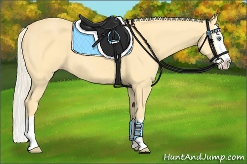 Horse Color:Gold Cream Champagne Splash 