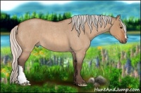 Horse Color:Silver Bay Roan Dun 