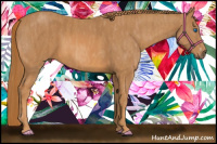 Horse Color:Chestnut Splash Frame  Brindle