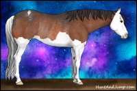 Horse Color:Bay Splash Varnish Rabicano 