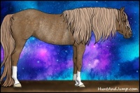 Horse Color:Chocolate Palomino Rabicano 
