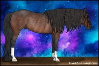 Horse Color:Brown Rabicano
