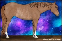 Horse Color:Chestnut Rabicano 