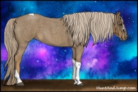 Horse Color:Chocolate Palomino Roan Tobiano 