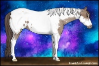 Horse Color:Liver Red Dun Tobiano Frame Blanket Rabicano 