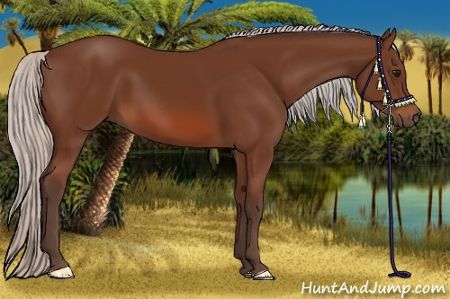 Horse Color: Silver Bay 