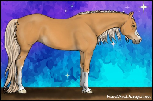 Horse Color: Palomino 
