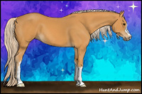 Horse Color:Palomino 