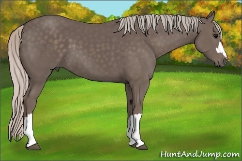 Horse Color:Silver Black 