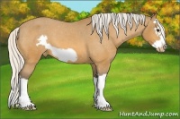 Horse Color:Silver Buckskin Splash Frame Varnish 