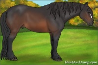 Horse Color:Brown 