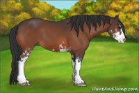 Horse Color:Brown Sabino 