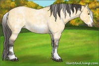 Horse Color:White Spotted Buckskin Roan Dun Frame 