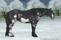 Horse Color:White Spotted Black Frame 