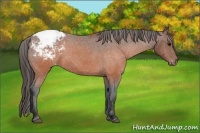 Horse Color:Brown Varnish 