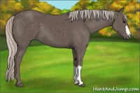 Horse Color:Silver Black 