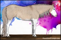 Horse Color:Silver Brown Roan Dun Splash 