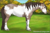 Horse Color:Classic Champagne Frame 