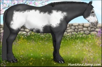 Horse Color:Black Frame 