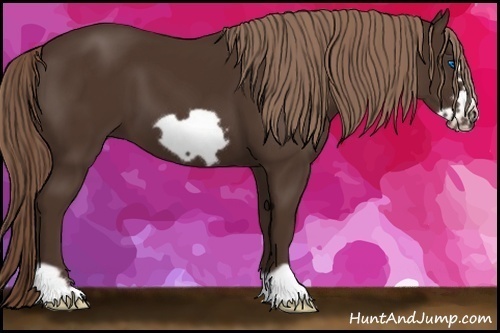 Horse Color: Liver Chestnut Frame 