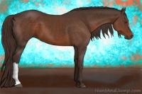 Horse Color:Liver Chestnut 