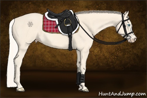 Horse Color:Cremello 
