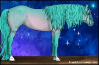 Horse Color:Watercolor Bay 
