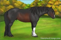 Horse Color:Brown 