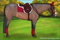 Horse Color:Bay Roan Splash 