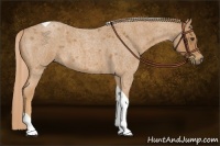 Horse Color:Red Roan Tobiano 